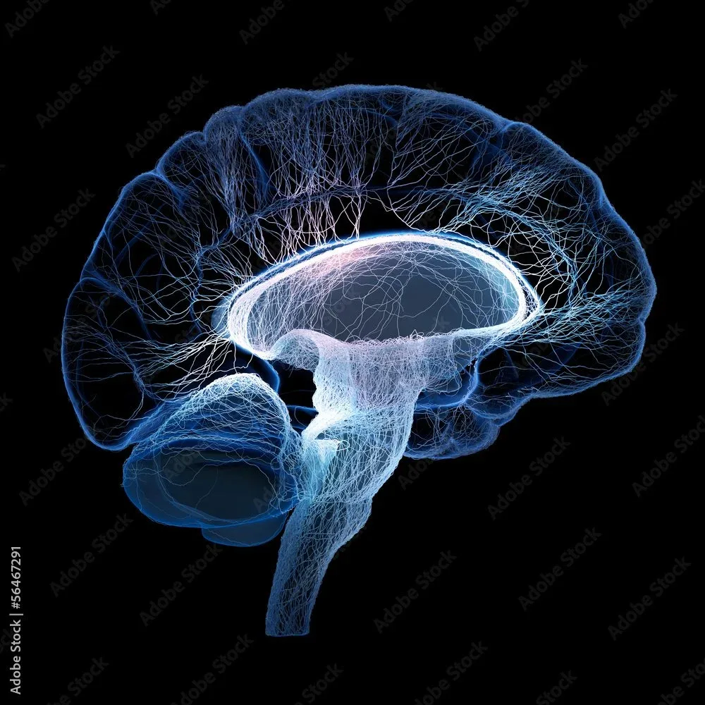 CranioSacral Therapy session at Glass & Glass Bodywork in Durango, Colorado